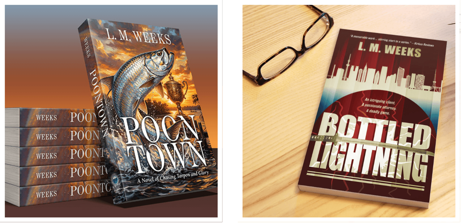 Author Leigh Seippel: Stories Cast Across Time